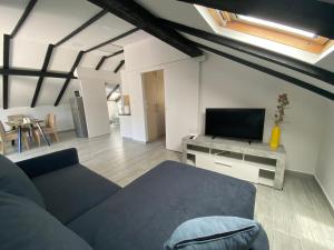a living room with a couch and a tv at Apartmani Grebastica in Grebaštica