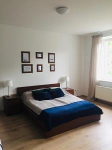 a bedroom with a bed with blue pillows and a window at Apartamenty Żeglarskie Vęgoria 4 in Węgorzewo