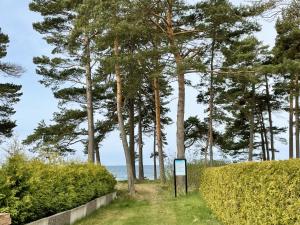 a path with trees and the ocean in the background at Newly built attefallshus by the beautiful Varamobeach! in Motala