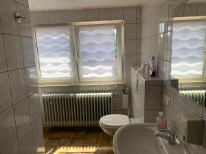 a bathroom with a toilet and a sink and two windows at Landgasthaus Klosterhof in Fischbach