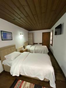 a hotel room with two beds and a television at Ebrulu Konak in Safranbolu
