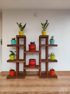 a group of shelves with potted plants on them at The Orchid Gardens in Kodaikānāl