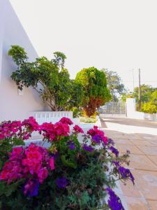 Vonkajšia záhrada v ubytovaní Olyna’s Apartment N.S Preveza