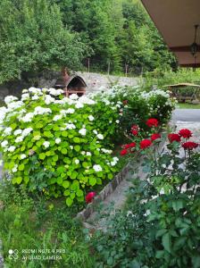 einen Garten mit weißen und roten Blumen und einem Pavillon in der Unterkunft Demmir in Travnik