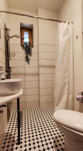 a bathroom with a toilet and a sink at Vintage Anna Apartment in Kuldīga