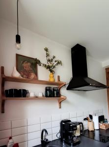 a kitchen with a sink and a counter with a stove at Vintage Anna Apartment in Kuldīga