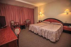 una camera d'albergo con un letto e una televisione di Hotel Roc Del Castell a Canillo