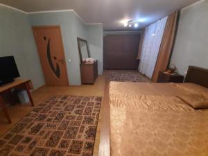 a bedroom with a large bed and a television at 2Rivers in Săsciori