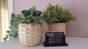 twee potplanten op een plank naast een boek bij BnB Antwerpen - CHIQUE in Antwerpen