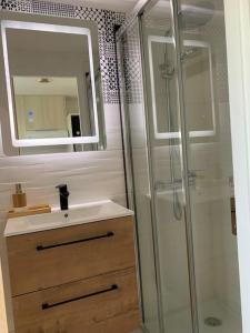 La salle de bains est pourvue d'une douche, d'un lavabo et d'un miroir. dans l'établissement Studio duplex face à la mer, à Guidel