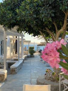 Zahrada ubytování Agia Anna Beachfront Boutique