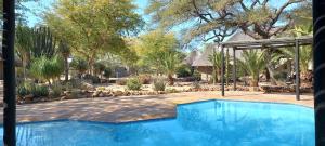 a large swimming pool in a yard with trees at Roidina Safari Lodge in Omaruru