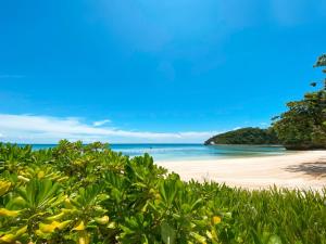 einen Strand mit Bäumen und dem Ozean im Hintergrund in der Unterkunft Savoy Hotel Boracay Newcoast in Boracay