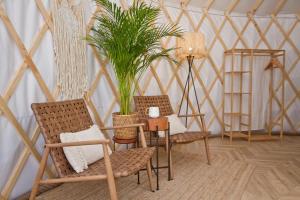 Fotografie z fotogalerie ubytování JURTLANDIA jurta BOHO v destinaci Lubiatowo + 28 fotografií