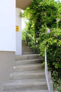 Imagem da galeria de Apartments Surban em Ohrid