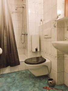 ハイリゲンハーフェンにあるFerienwohnung " Traumblick"のバスルーム(トイレ、洗面台、シャワー付)