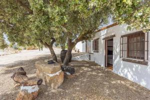 Vonkajšia záhrada v ubytovaní Casa Rural El Ventorrillo