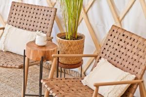 Fotografie z fotogalerie ubytování JURTLANDIA jurta BOHO v destinaci Lubiatowo
