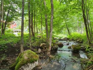Loodusmaastik of the bed and breakfast lähedal