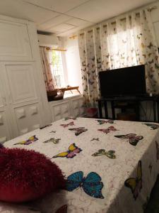 Fotografie z fotogalerie ubytování Casa Zaida Hostal Vintage v destinaci Ríohacha + 37 fotografií