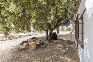 Vonkajšia záhrada v ubytovaní Casa Rural El Ventorrillo