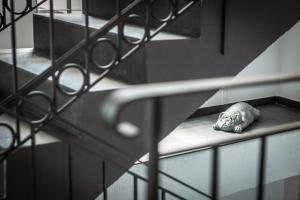 Fotografie z fotogalerie ubytování Arena Hotel Samorin v destinaci Šamorín