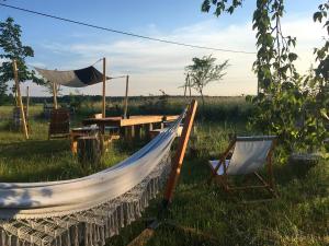 a hammock and a table and a chair in a field at Morgi na Łebkach in Łebki