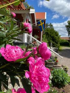 Aed väljaspool majutusasutust Pilakvarn
