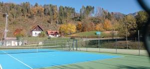 Instalaciones para jugar al tenis o al squash en Zoncolan Camping Caravan o alrededores