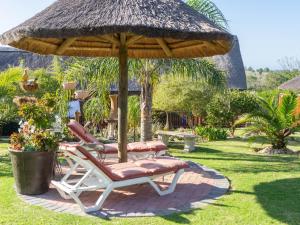 two lounge chairs under an umbrella in a yard at The Owls Inn Country Villa's in George