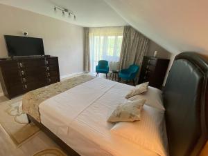 a bedroom with a large bed and a television at Pensiunea Ivoire in Avrig