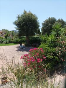 Foto de la galería de Casa Mimosa Holiday Room en Sperlonga