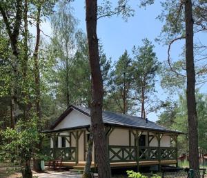 a cabin in the woods with trees at Sosnowy Domek nad jeziorem na Kaszubach in Swornegacie 