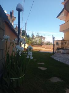 Fotografie z fotogalerie ubytování B&B Abruzzo Mare e Monti v destinaci Chieti