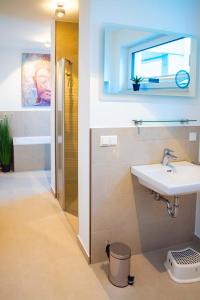 a bathroom with a sink and a mirror and a shower at Villa am Schloss Ranzow - Baltic Blue in Lohme
