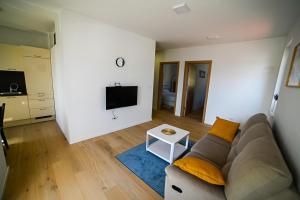 TV a/nebo společenská místnost v ubytování Apartment Bine