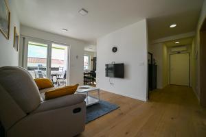 TV a/nebo společenská místnost v ubytování Apartment Bine