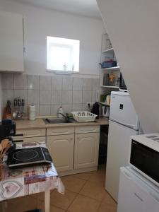 kuchnia ze zlewem i białą lodówką w obiekcie Zso-Zé Apartman w mieście Tiszafüred