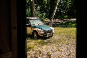 Zdjęcie z galerii obiektu NATURE HOUSE Pszczyna w Pszczynie