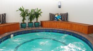 a lap pool in a room with plants and a bench at Bethlehem Motor Inn and Conference Centre in Tauranga +45 photos