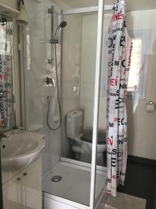 a bathroom with a shower with a toilet and a sink at Studio Oustaou à Château Gombert in Marseille