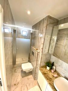 ein Bad mit einer Dusche, einem WC und einem Waschbecken in der Unterkunft Wonderful Villa Airport 5 minutes in Arnavutköy