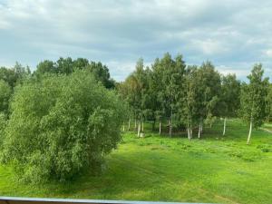 a green field with trees in the background at Ventspils Juras in Ventspils
