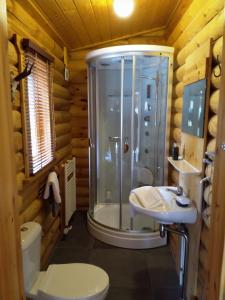 a bathroom with a shower and a sink at De Stamper - De Wije Werelt in Otterlo