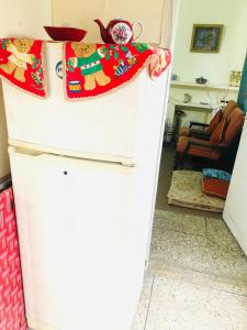 a refrigerator with christmas decorations on top of it at Al-Noor Cottage in Rawalpindi