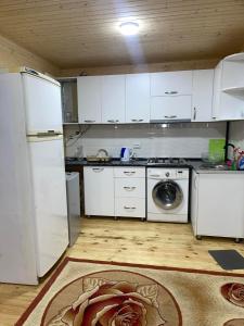 格里戈萊蒂的住宿－Cottage Ani in grigoleti，厨房配有冰箱、洗衣机和烘干机