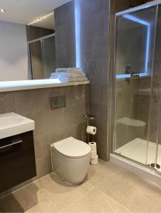a bathroom with a toilet and a glass shower at Mnitri apartment in Luton
