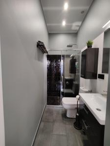 a bathroom with a shower and a toilet and a sink at Apartament Szczecin in Szczecin