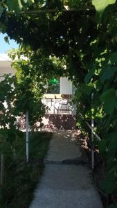 a pathway with a picnic bench in the background at Sea Cottage Studios in Budva