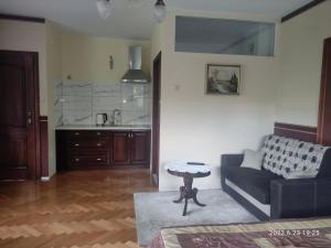 Kuchyň nebo kuchyňský kout v ubytování Willa Leśna Polana + 61 fotografií